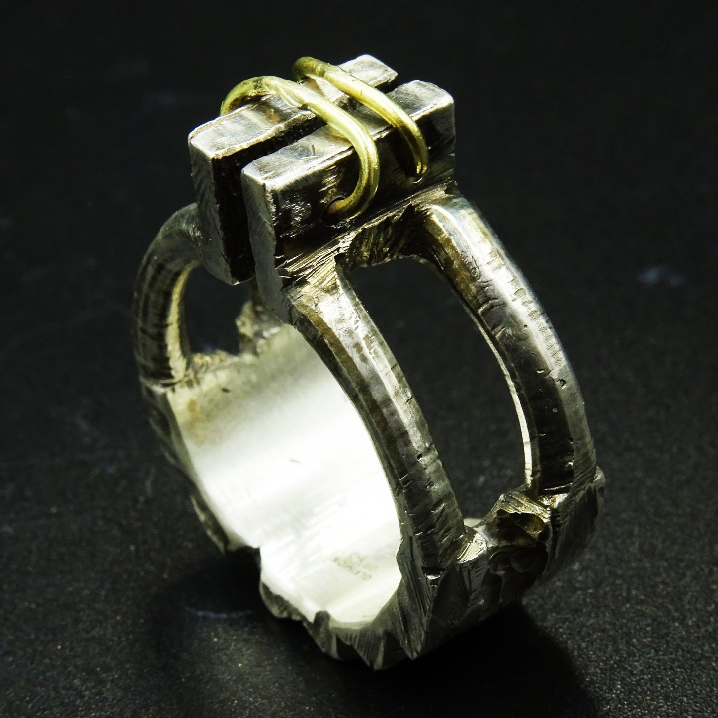 Warden’s Grip Silver Ring