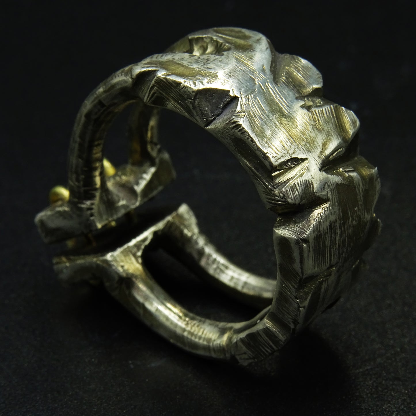 Warden’s Grip Silver Ring