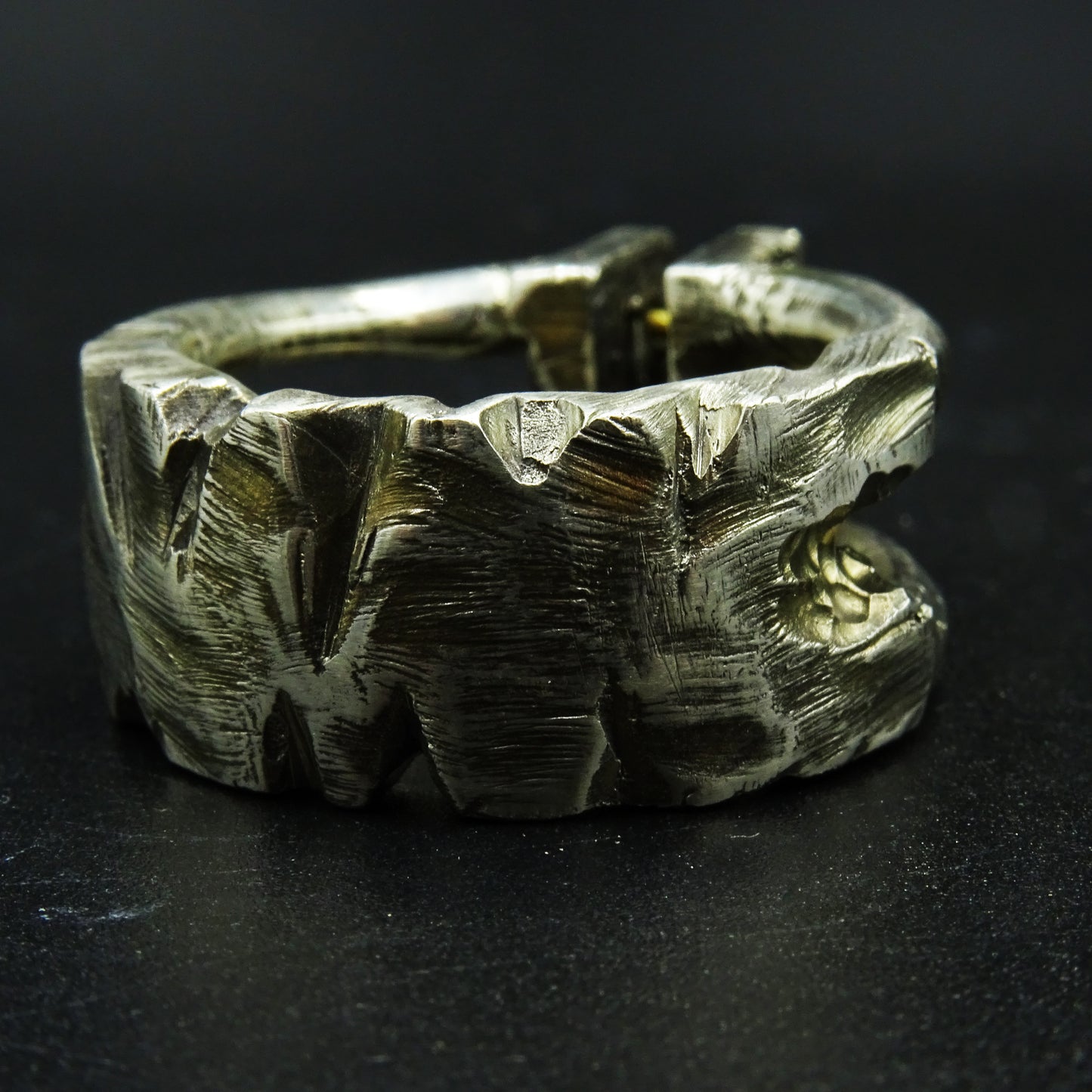 Warden’s Grip Silver Ring