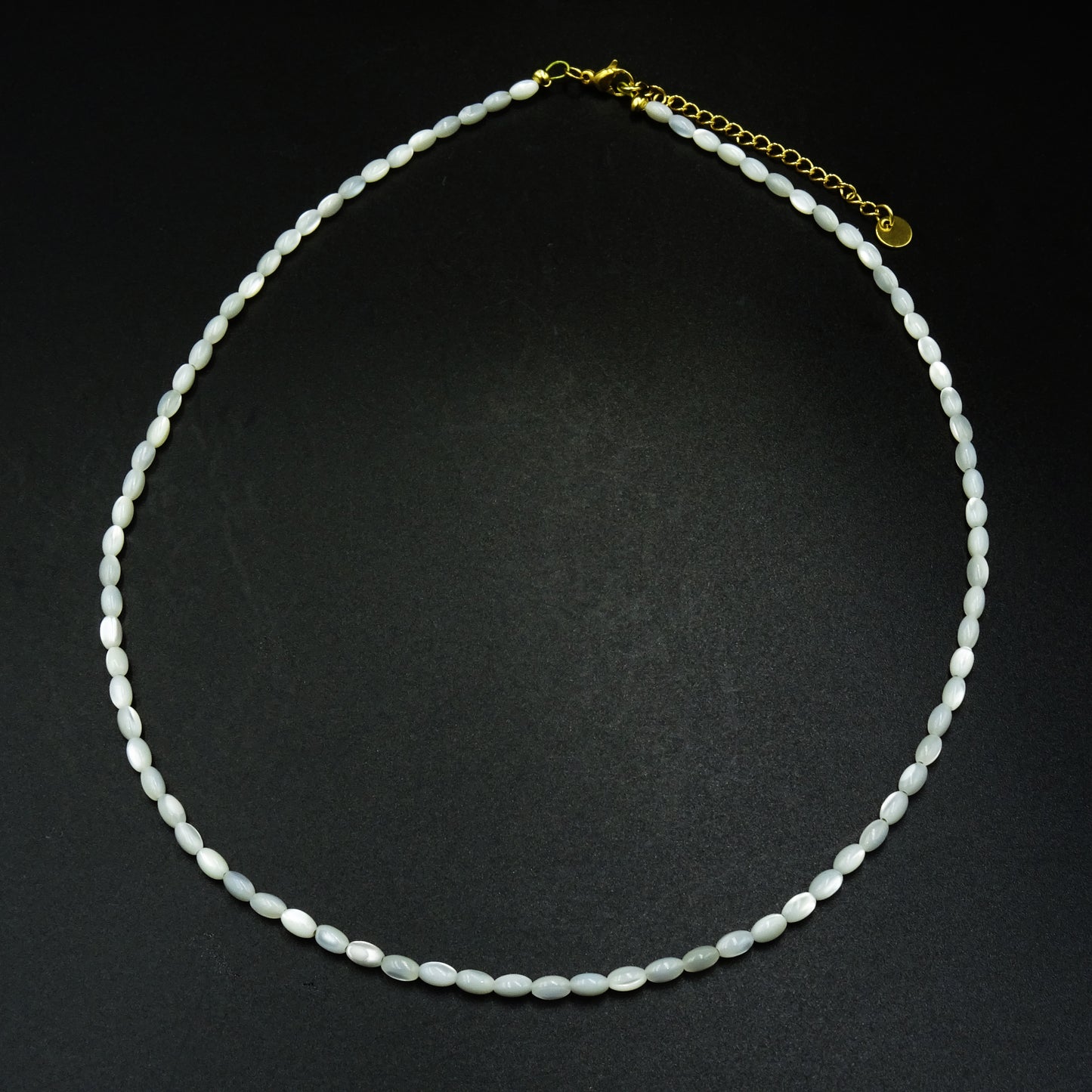 Silent Shore Shell Necklace