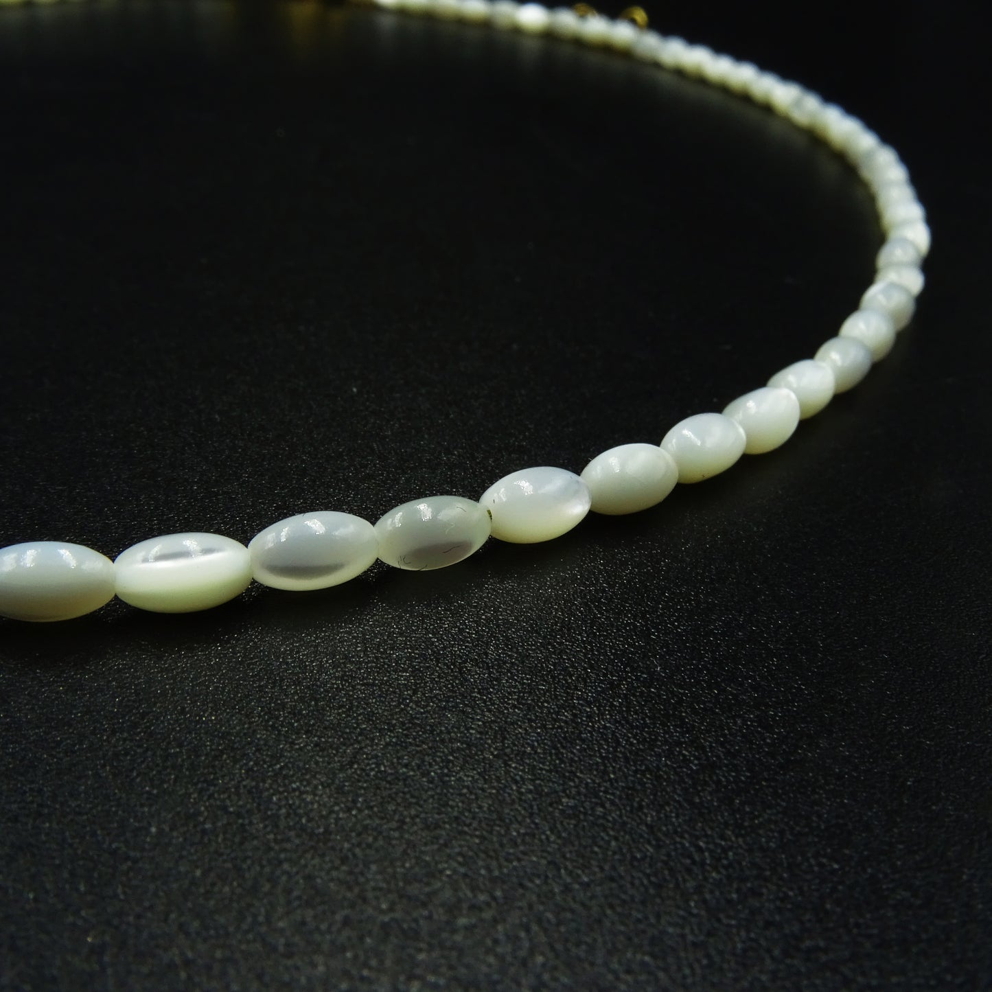 Silent Shore Shell Necklace