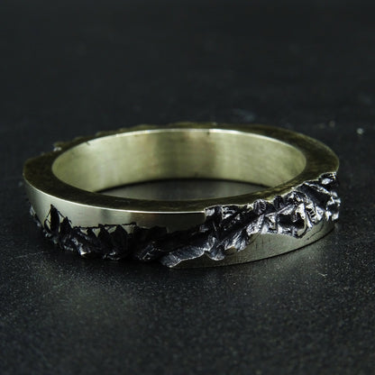 Ruptura Silver Ring