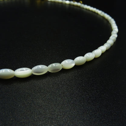 Silent Shore Shell Necklace