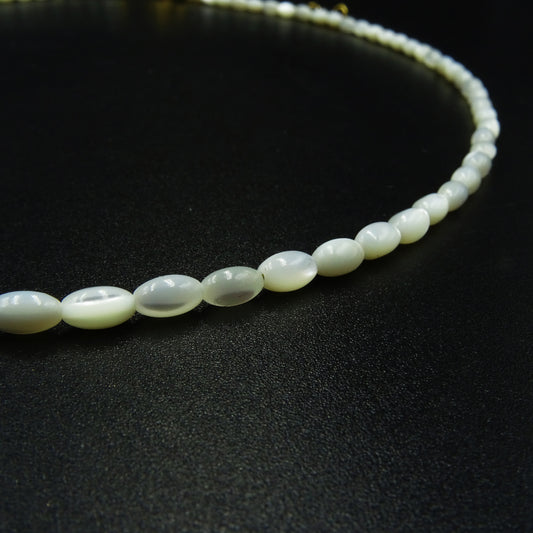 Silent Shore Shell Necklace