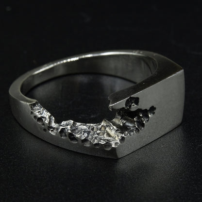 Tecton Silver Ring