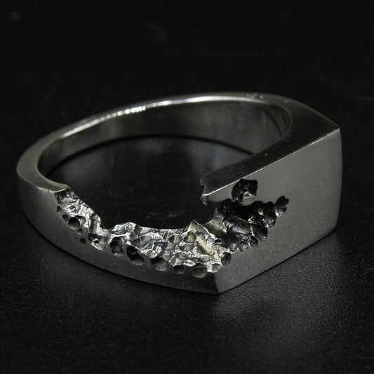 Tecton Silver Ring