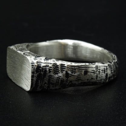 Ashen Signet Silver Ring