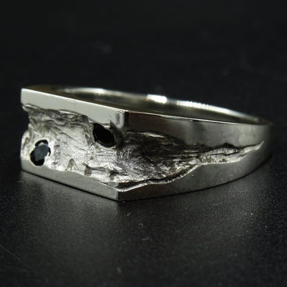 Emerge Silver Signet Ring