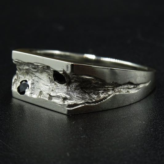 Emerge Silver Signet Ring