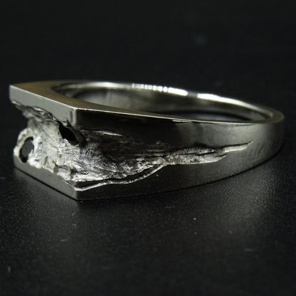 Emerge Silver Signet Ring